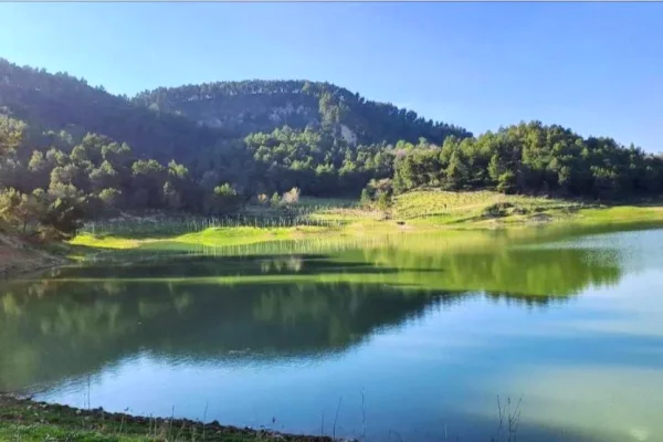 Truall ose Toke ne Tirane - 735,000 Euro