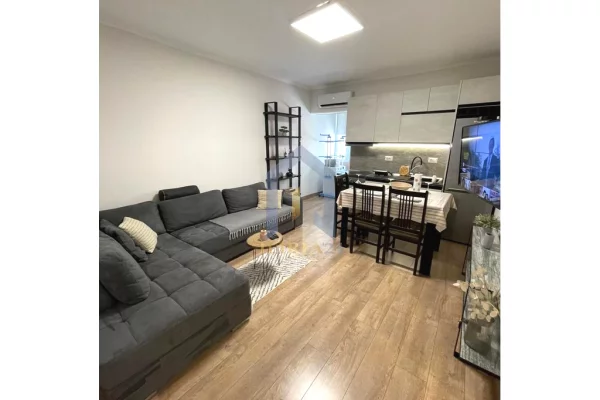 Shtepi me qera Apartament ne Tirane, 1+1, Mobilimi E mobiluar, Pagesa 650  Euro.