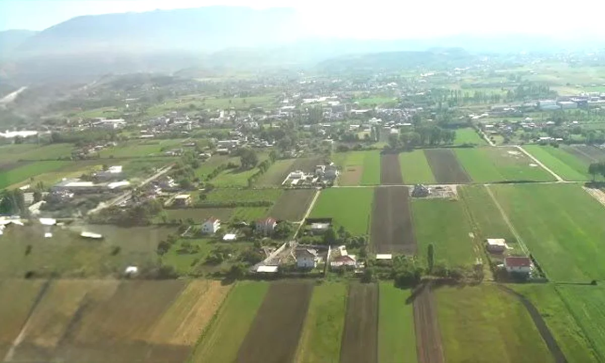 OKAZION! SHITET TOKE NE RINAS