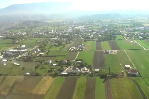 OKAZION! SHITET TOKE NE RINAS