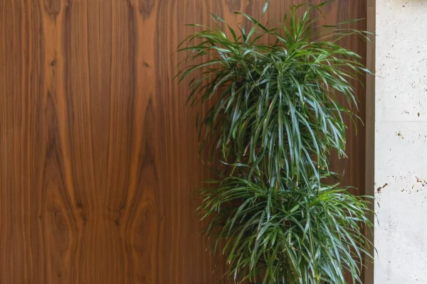 Apartment for sale in Tirana 3+1, Furnished