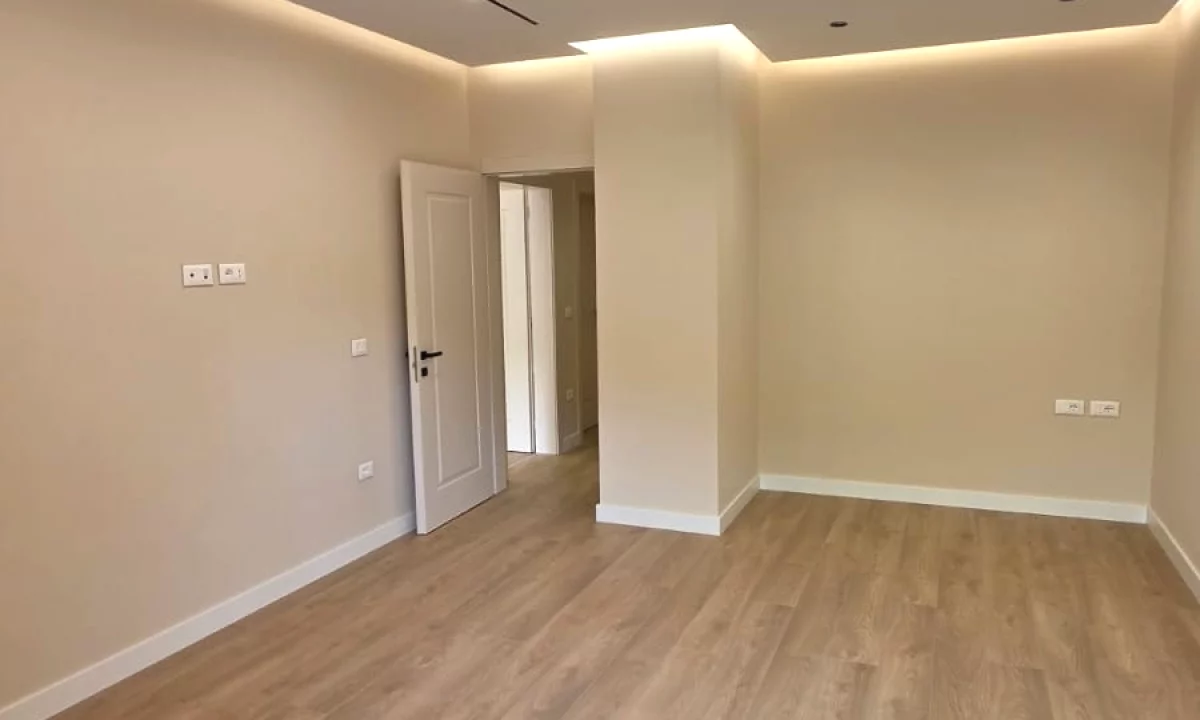 ambient biznesi me qira tek COIN/RTSH