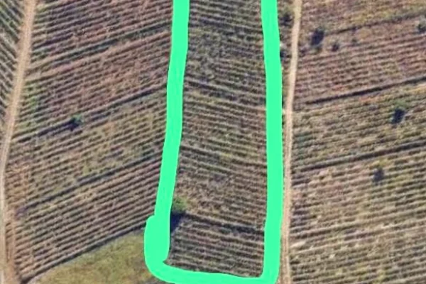 Truall ose Toke ne Tirane - 600,000 Euro