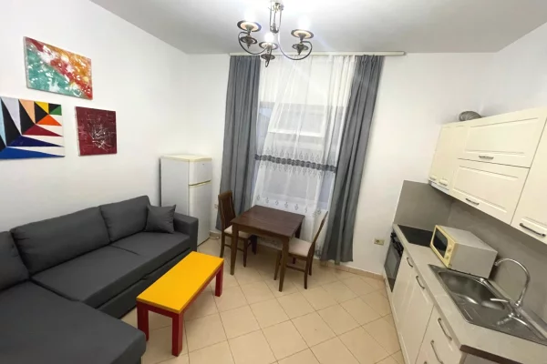 House for Rent 1+1 in Tirana - 350 Euro