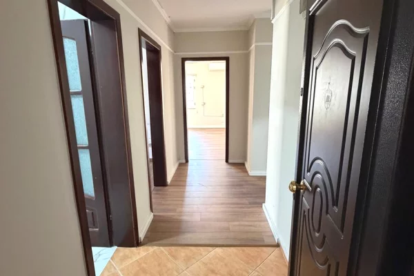 Zyre me qira tek "Sheshi Willson"