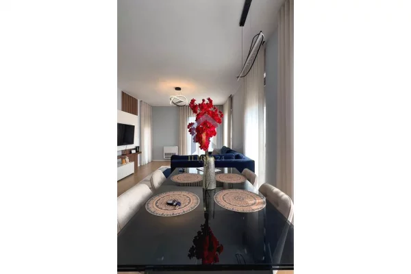Shtepi ne shitje Apartament ne Tirane, 1+1, Mobilimi E mobiluar, Pagesa 155,000  Euro.