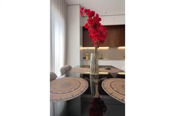 Shtepi ne shitje Apartament ne Tirane, 1+1, Mobilimi E mobiluar, Pagesa 155,000  Euro.