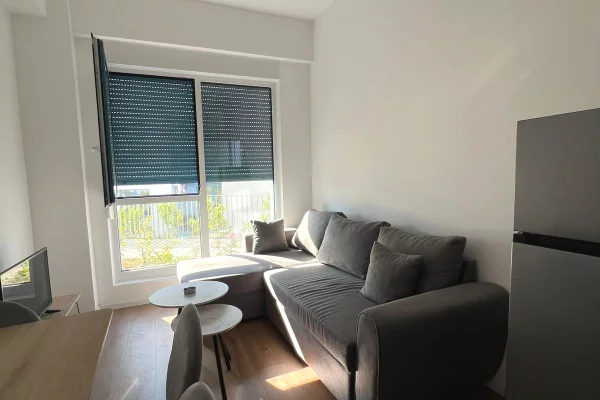Shtepi ne shitje Apartament ne Tirane, 1+1, Mobilimi E mobiluar, Pagesa 80,000  Euro.