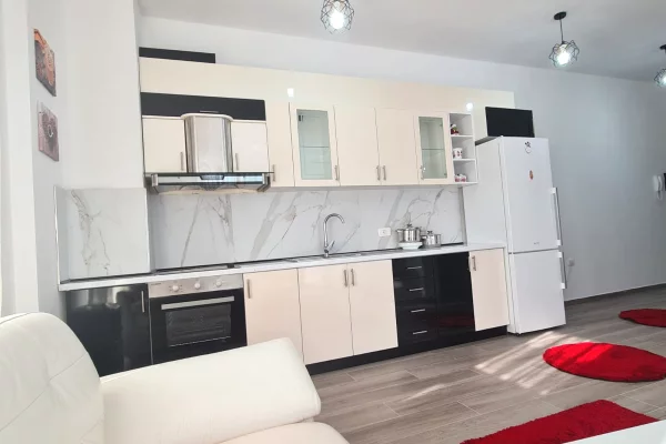 Shtepi me qera Apartament ne Tirane, 1+1, Mobilimi E mobiluar, Pagesa 500  Euro.