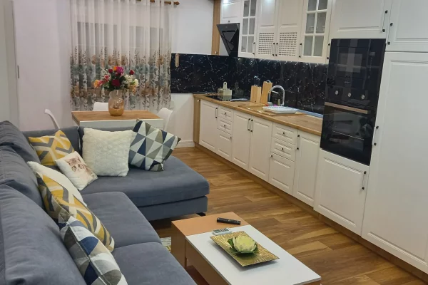 Shtepi me qera Apartament ne Tirane, 1+1, Mobilimi E mobiluar, Pagesa 750  Euro.