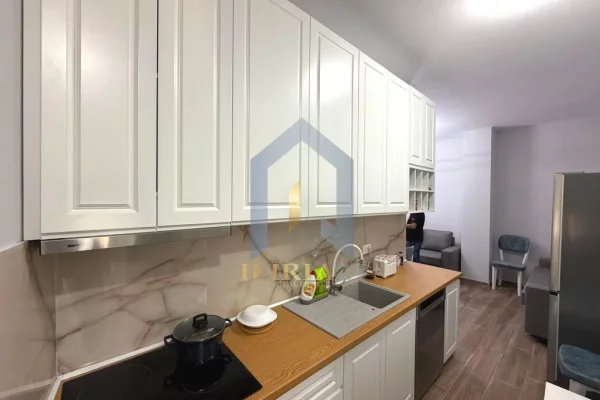 Shtepi ne shitje Apartament ne Tirane, 1+1, Mobilimi E mobiluar, Pagesa 120,000  Euro.