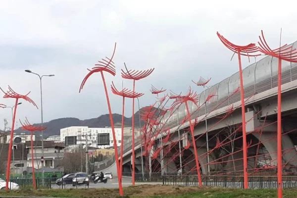 Ambient biznesi ne shitje 1+1 ne Tirane - 350,000 Euro