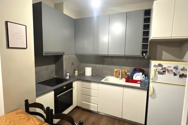 Shtepi ne shitje Apartament ne Tirane, 1+1, Mobilimi E mobiluar, Pagesa 99,000  Euro.