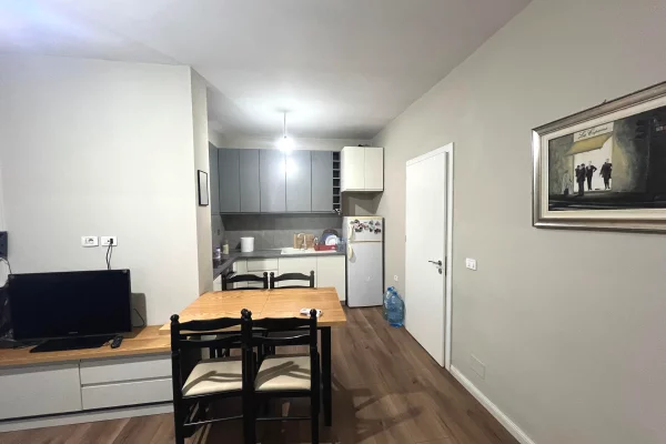 Shtepi ne shitje Apartament ne Tirane, 1+1, Mobilimi E mobiluar, Pagesa 99,000  Euro.