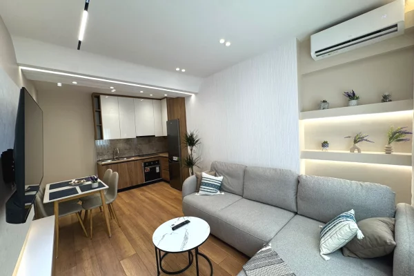 Shtepi ne shitje Apartament ne Tirane, 1+1, Mobilimi E mobiluar, Pagesa 163,000  Euro.