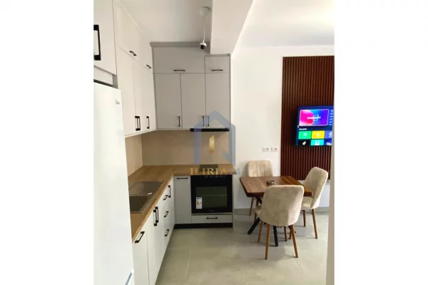 Shtepi me qera Apartament ne Tirane, 1+1, Mobilimi E mobiluar, Pagesa 550  Euro.