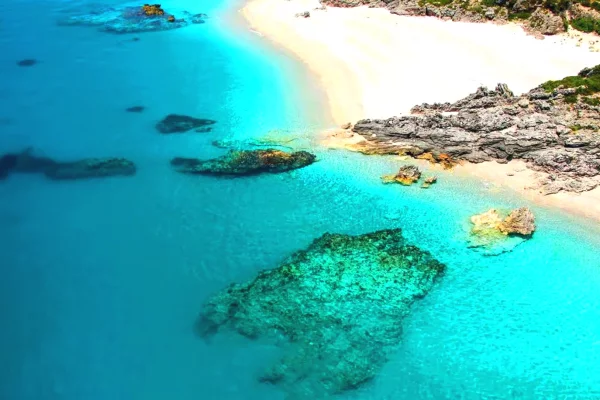 OKAZION SHITET TOKE NE HIMARE DHERMI 