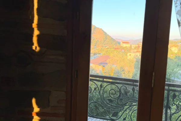 Shtepi ne shitje Vila Luksoze ne Tirane, 5+1, Mobilimi E mobiluar, Pagesa 1,000,000  Euro.