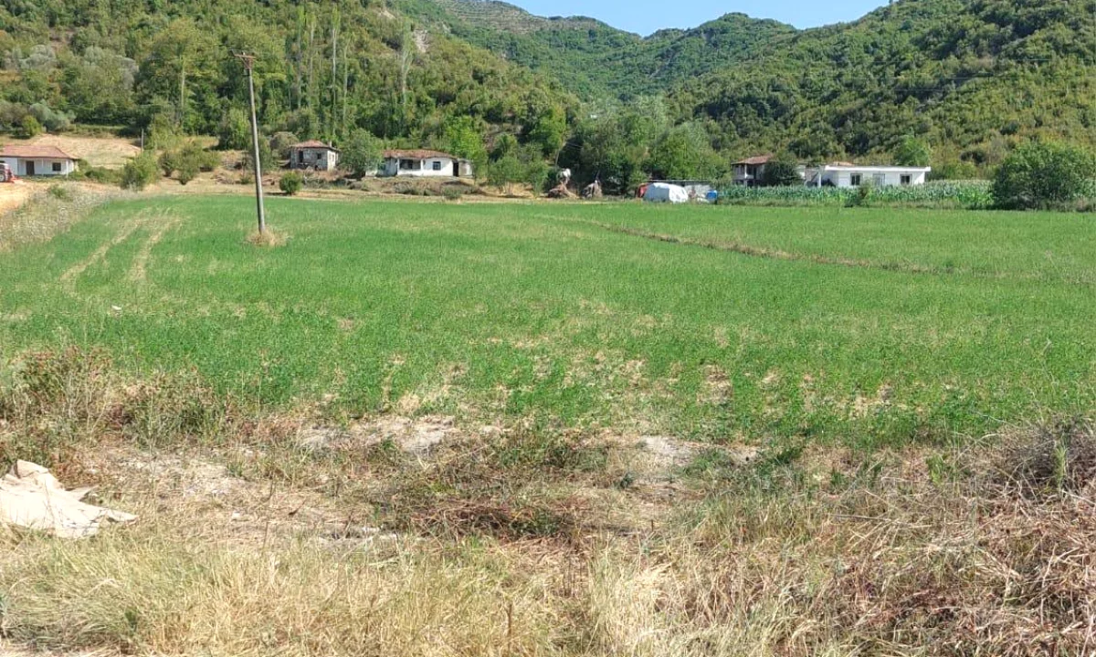 Toke per shitje ne “Baldushk”