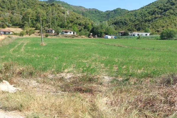 Truall ose Toke ne Tirane - 250,000 Euro