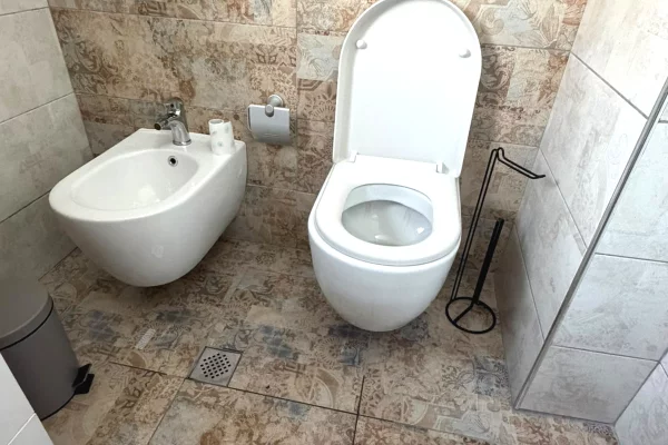 Shtepi me qera Apartament ne Tirane, 2+1, Mobilimi E mobiluar, Pagesa 900  Euro.
