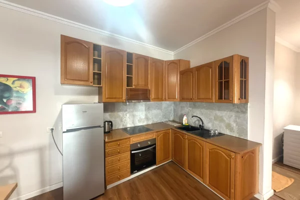 Shtepi me qera Apartament ne Tirane, 1+1, Mobilimi E mobiluar, Pagesa 650  Euro.