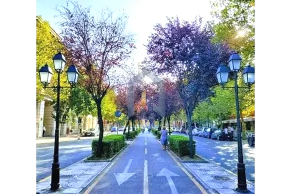 Shtepi me qera 2+1 ne Tirane - 650 Leke