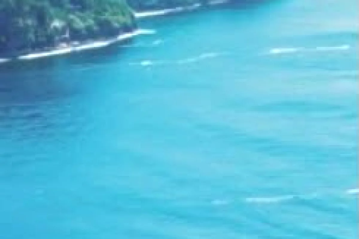 Shtepi ne shitje Apartament ne Vlore, 2+1, Mobilimi Bosh, pa mobiluar, Pagesa 440,510  Euro.
