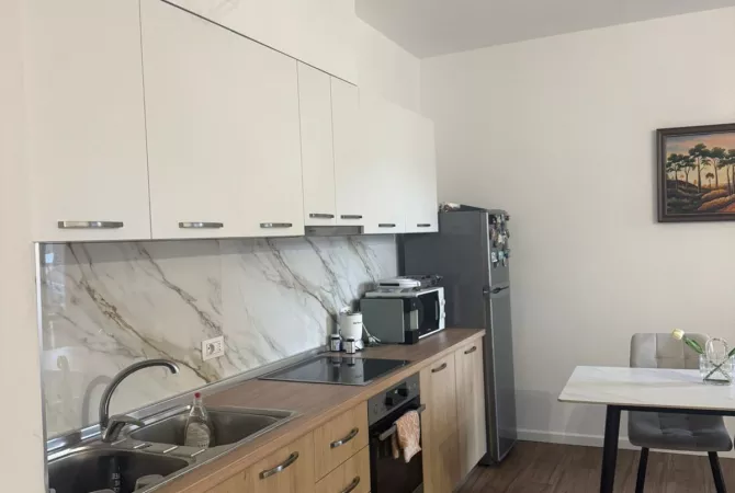 Xhamllik, apartament 1+1 me qera te shkolla kongresi lushnjes , 55,000 LEKE
