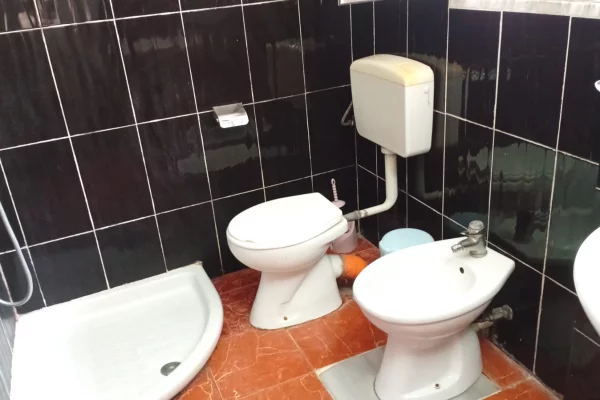 Shtepi me qera Apartament ne Tirane, 1+1, Mobilimi E mobiluar, Pagesa 30,000  Leke.