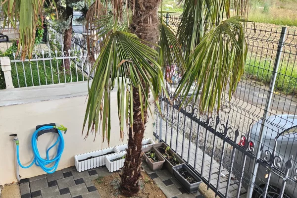 Appartamento in vendita a Durazzo 1+1, Arredato