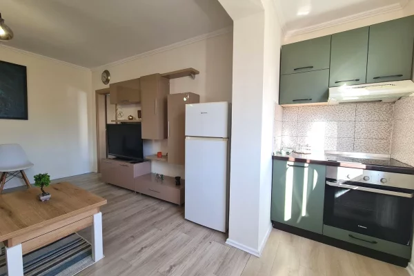Shtepi ne shitje Apartament ne Tirane, 1+1, Mobilimi E mobiluar, Pagesa 8,800,000  Leke.