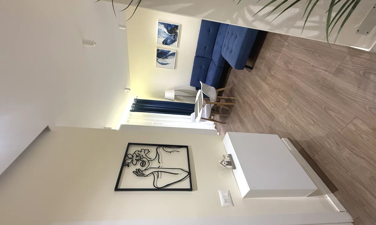 Shtepi me qera Apartament ne Tirane, 1+1, Mobilimi E mobiluar, Pagesa 480  Euro.