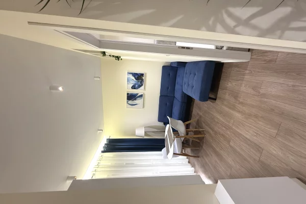 Shtepi me qera Apartament ne Tirane, 1+1, Mobilimi E mobiluar, Pagesa 480  Euro.