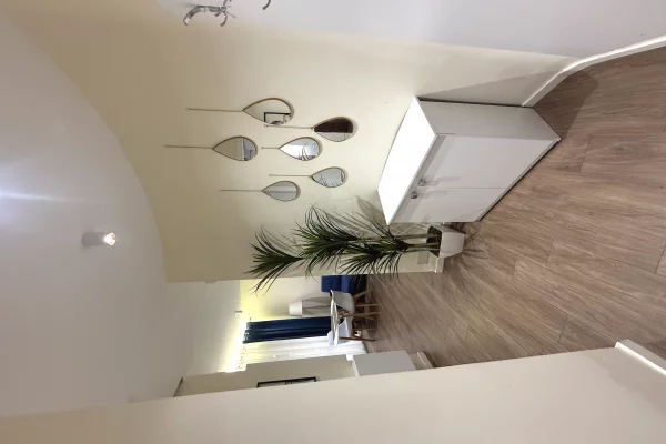 Shtepi me qera Apartament ne Tirane, 1+1, Mobilimi E mobiluar, Pagesa 480  Euro.