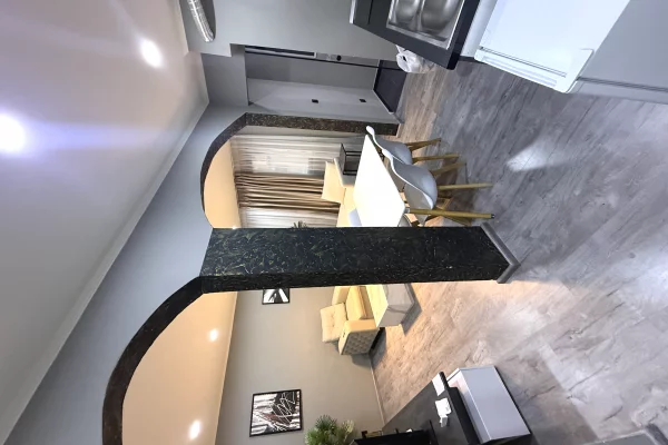 Shtepi me qera Apartament ne Tirane, 1+1, Mobilimi E mobiluar, Pagesa 50,000  Leke.