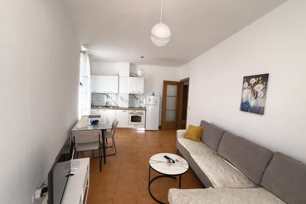 Shtepi ne shitje Apartament ne Tirane, 1+1, Mobilimi E mobiluar, Pagesa 10,000,000  Leke.