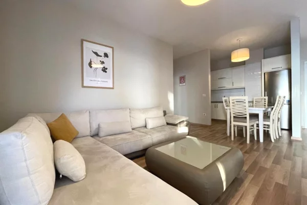TEK DELIJORGJI APARTAMENT 1+1 PER QERA!