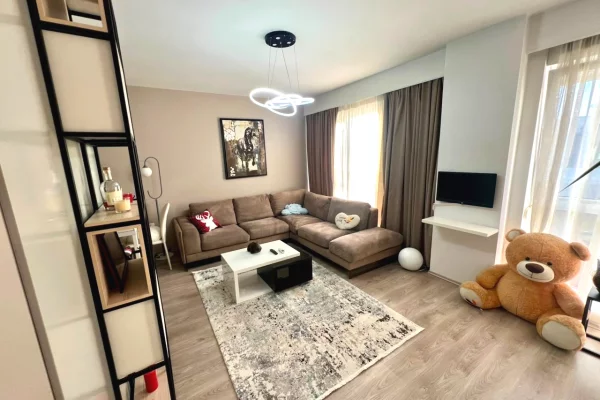 Shtepi me qera Apartament ne Tirane, 1+1, Mobilimi E mobiluar, Pagesa 600  Euro.