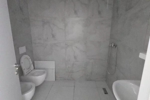 Shtepi me qera Apartament ne Tirane, 1+1, Mobilimi E mobiluar, Pagesa 450  Euro.
