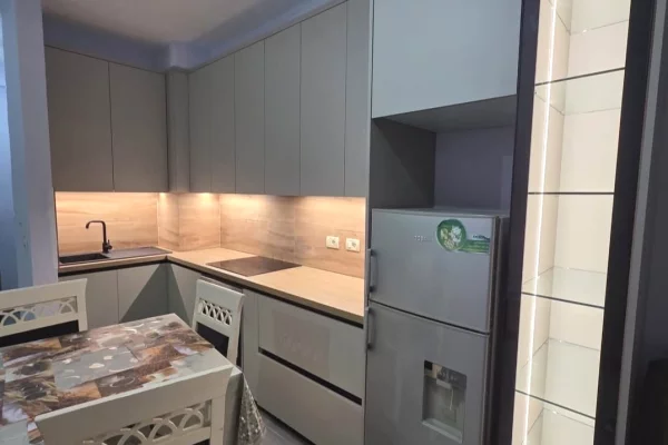 Shtepi me qera Apartament ne Tirane, 2+1, Mobilimi E mobiluar, Pagesa 550  Euro.