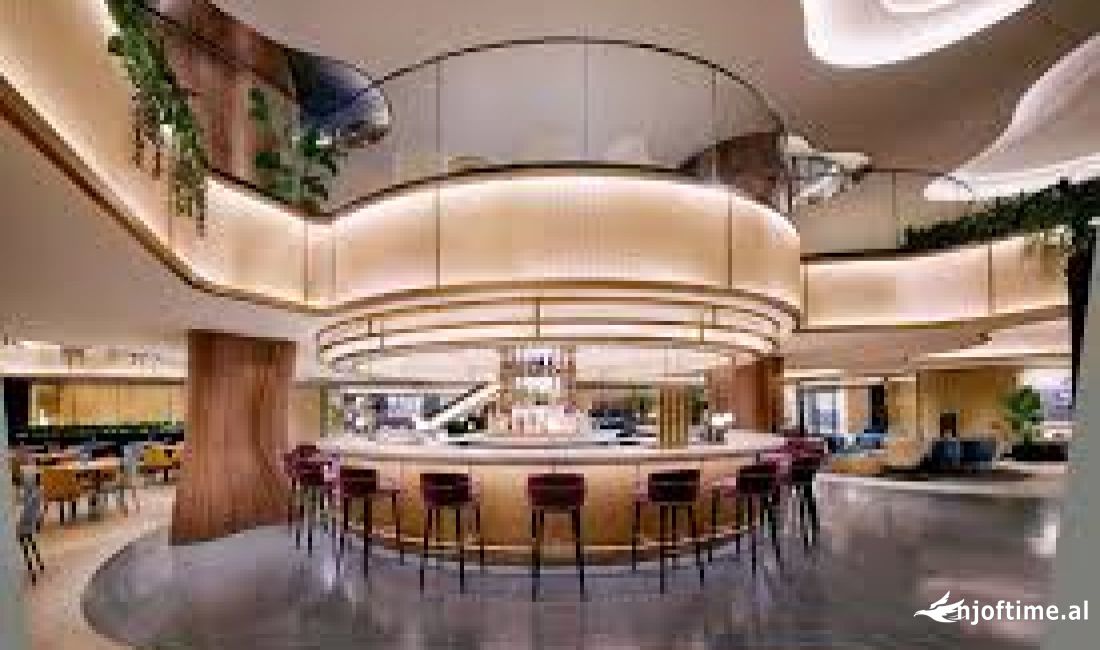 AMBIENT BIZNESI NE SHITJE TE PETRO NINI 