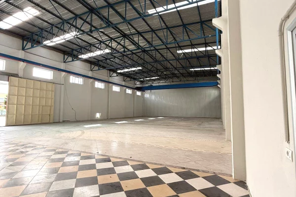 Business Property for Rent 4+1 in Tirana - 4,500 Euro