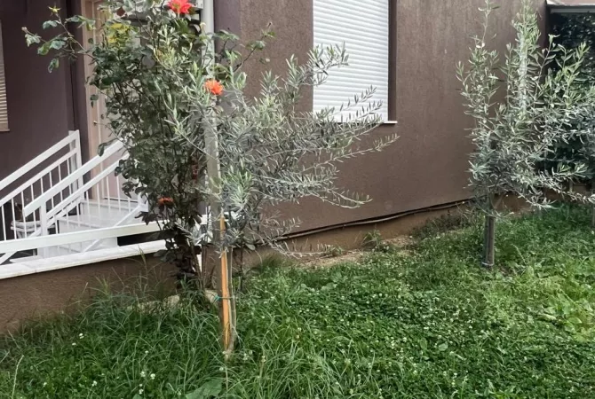 Shtepi me qera Apartament ne Tirane, Garsoniere, Mobilimi E mobiluar, Pagesa 25,000  Leke.