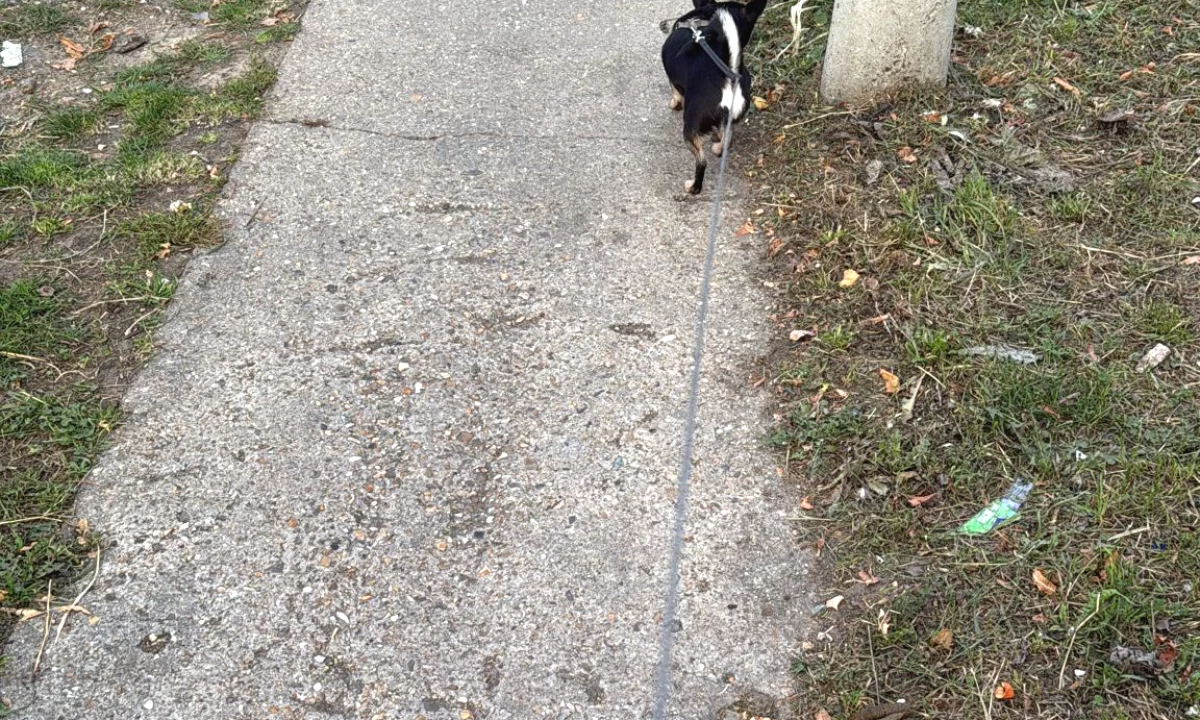 Shtepi me qera Apartament ne Tirane, 1+1, Mobilimi E mobiluar, Pagesa 400  Euro.