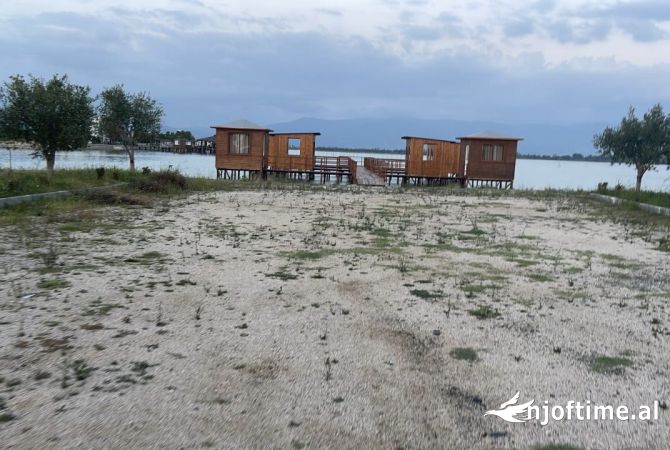 Shitet Lokal ne Patok