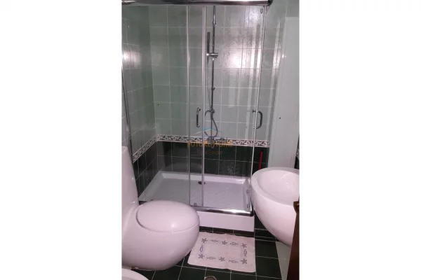 Shtepi me qera Apartament ne Tirane, 1+1, Mobilimi E mobiluar, Pagesa 550  Euro.