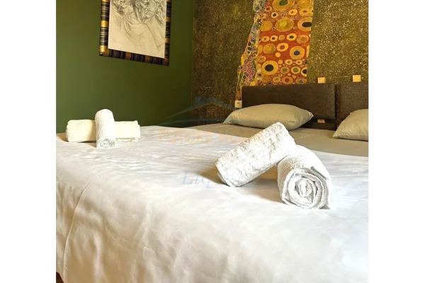 Shtepi me qera Apartament ne Tirane, 1+1, Mobilimi E mobiluar, Pagesa 598  Euro.