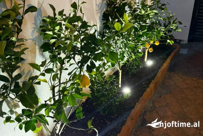 Ambiente Commerciale in Affitto 3+1 a Tirana - 5,000 Euro