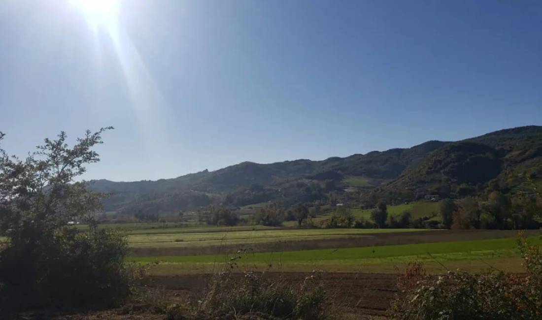 Shitet Toke 1000m2 ne Peze Te Vogel Cmim OKAZION,ME LEJE NDERTIMI!!